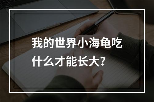 我的世界小海龟吃什么才能长大？