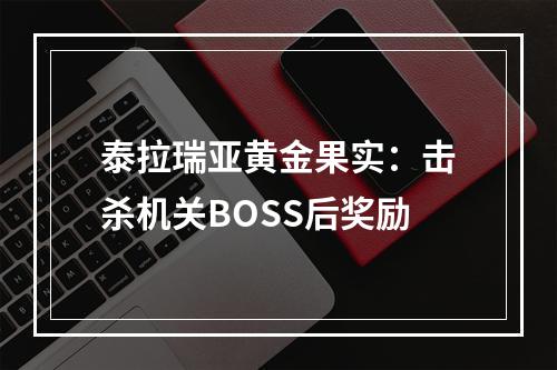 泰拉瑞亚黄金果实：击杀机关BOSS后奖励