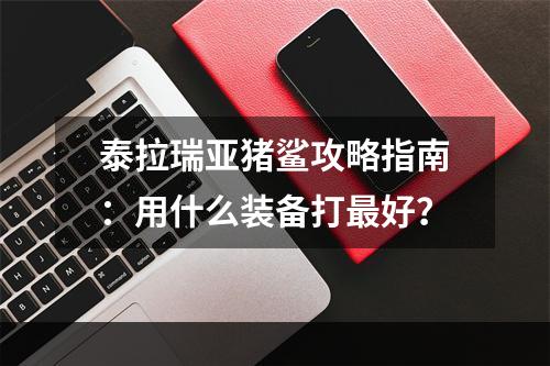 泰拉瑞亚猪鲨攻略指南：用什么装备打最好？