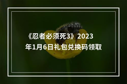 《忍者必须死3》2023年1月6日礼包兑换码领取