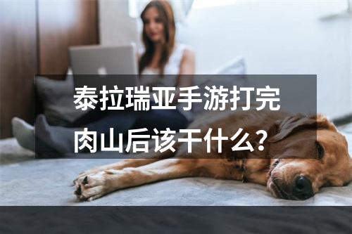 泰拉瑞亚手游打完肉山后该干什么？