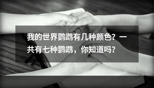 我的世界鹦鹉有几种颜色？一共有七种鹦鹉，你知道吗？