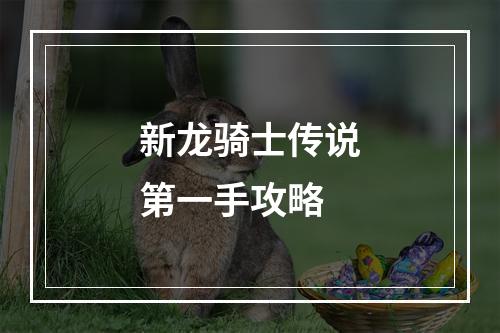 新龙骑士传说第一手攻略