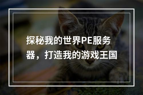 探秘我的世界PE服务器，打造我的游戏王国