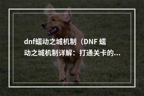 dnf蠕动之城机制（DNF 蠕动之城机制详解：打通关卡的窍门）