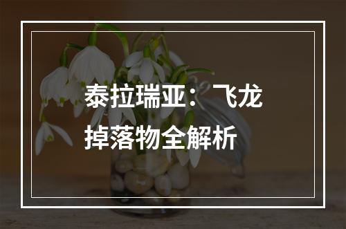 泰拉瑞亚：飞龙掉落物全解析