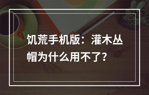 饥荒手机版：灌木丛帽为什么用不了？