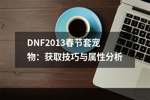 DNF2013春节套宠物：获取技巧与属性分析