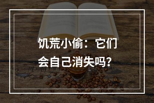 饥荒小偷：它们会自己消失吗？