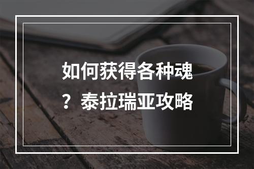 如何获得各种魂？泰拉瑞亚攻略