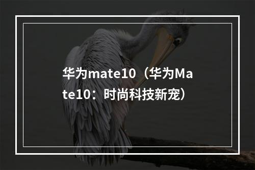 华为mate10（华为Mate10：时尚科技新宠）