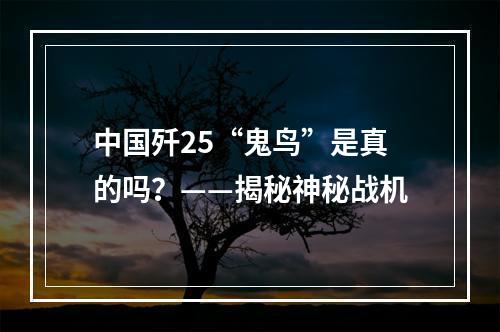 中国歼25“鬼鸟”是真的吗？——揭秘神秘战机