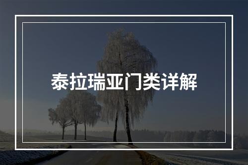 泰拉瑞亚门类详解