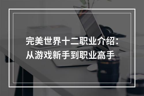 完美世界十二职业介绍：从游戏新手到职业高手