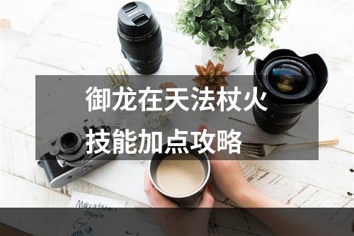 御龙在天法杖火技能加点攻略