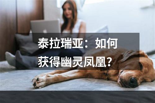 泰拉瑞亚：如何获得幽灵凤凰？