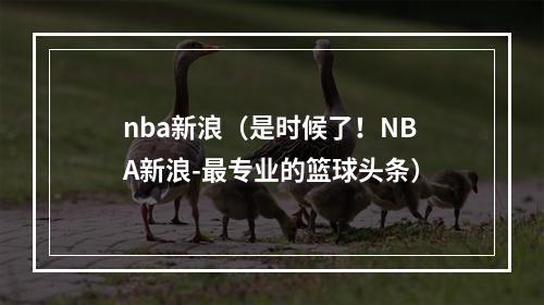 nba新浪（是时候了！NBA新浪-最专业的篮球头条）