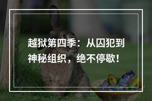 越狱第四季：从囚犯到神秘组织，绝不停歇！