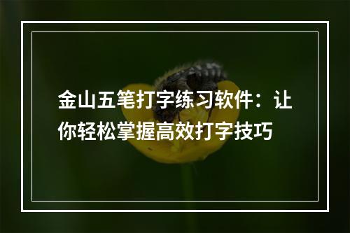 金山五笔打字练习软件：让你轻松掌握高效打字技巧