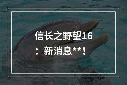 信长之野望16：新消息**！