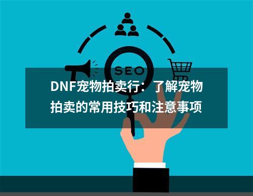 DNF宠物拍卖行：了解宠物拍卖的常用技巧和注意事项