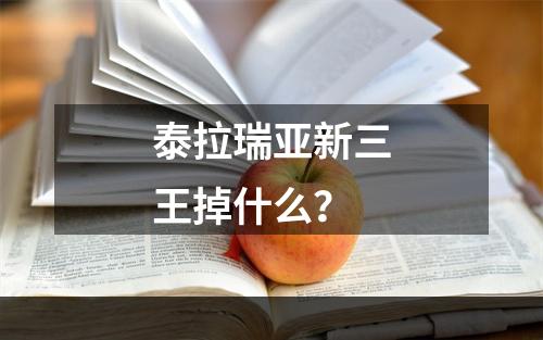 泰拉瑞亚新三王掉什么？