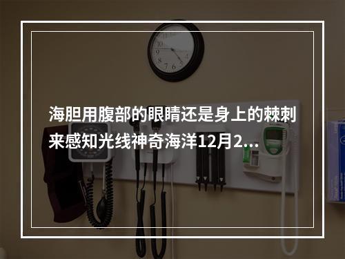 海胆用腹部的眼睛还是身上的棘刺来感知光线神奇海洋12月28日答案最新