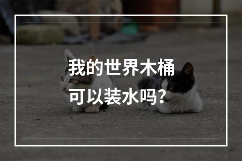 我的世界木桶可以装水吗？