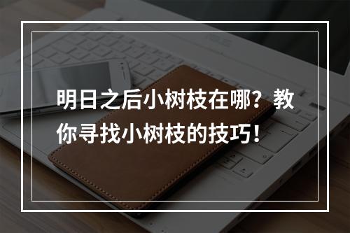 明日之后小树枝在哪？教你寻找小树枝的技巧！