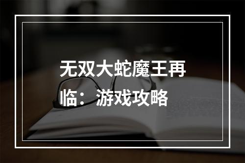 无双大蛇魔王再临：游戏攻略