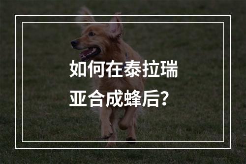 如何在泰拉瑞亚合成蜂后？