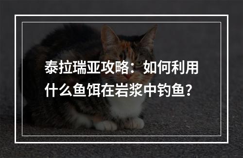 泰拉瑞亚攻略：如何利用什么鱼饵在岩浆中钓鱼？