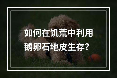 如何在饥荒中利用鹅卵石地皮生存？