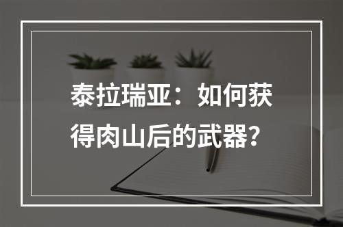 泰拉瑞亚：如何获得肉山后的武器？