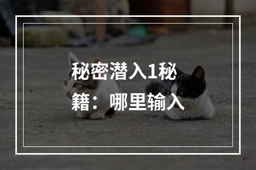 秘密潜入1秘籍：哪里输入