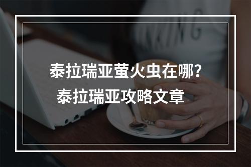 泰拉瑞亚萤火虫在哪？  泰拉瑞亚攻略文章