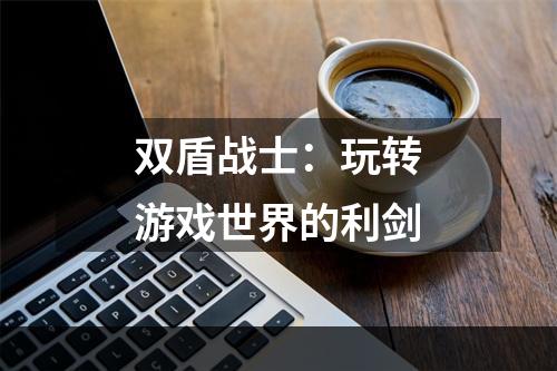 双盾战士：玩转游戏世界的利剑