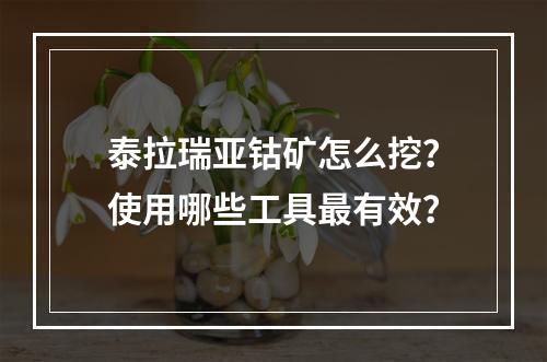 泰拉瑞亚钴矿怎么挖？使用哪些工具最有效？