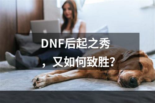 DNF后起之秀，又如何致胜？