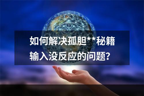 如何解决孤胆**秘籍输入没反应的问题？