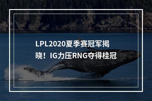 LPL2020夏季赛冠军揭晓！IG力压RNG夺得桂冠