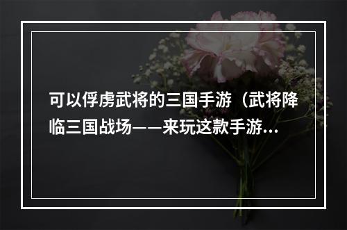 可以俘虏武将的三国手游（武将降临三国战场——来玩这款手游体验待遇）