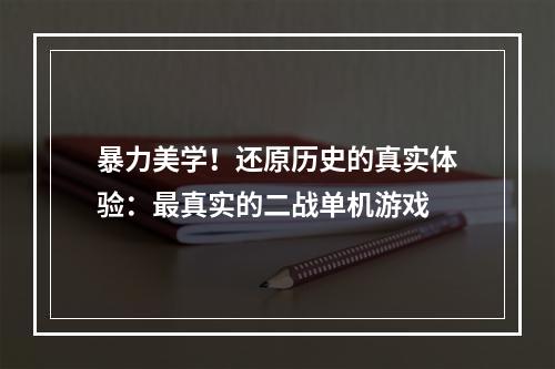 暴力美学！还原历史的真实体验：最真实的二战单机游戏