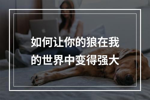 如何让你的狼在我的世界中变得强大