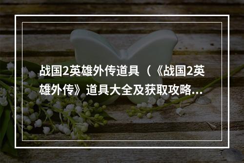 战国2英雄外传道具（《战国2英雄外传》道具大全及获取攻略）