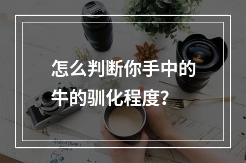 怎么判断你手中的牛的驯化程度？