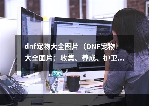 dnf宠物大全图片（DNF宠物大全图片：收集、养成、护卫）