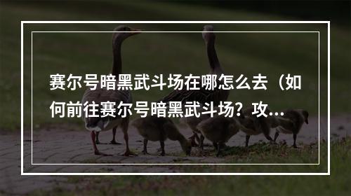 赛尔号暗黑武斗场在哪怎么去（如何前往赛尔号暗黑武斗场？攻略详解）