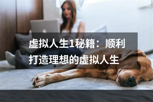 虚拟人生1秘籍：顺利打造理想的虚拟人生