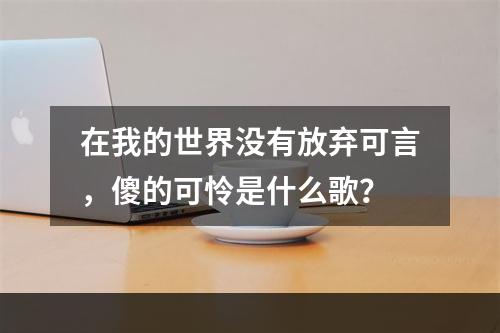 在我的世界没有放弃可言，傻的可怜是什么歌？